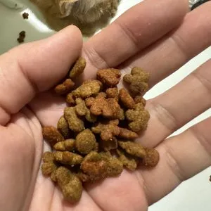 베스트 후기 이미지