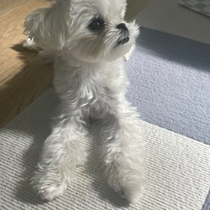 베스트 후기 이미지