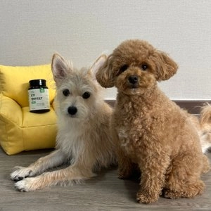 리틀포우 텐바이트 T (칠면조) 120g 베스트 후기 이미지