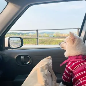 베스트 후기 이미지