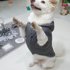 베스트 후기 이미지