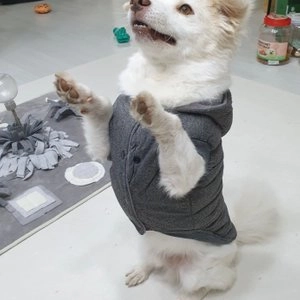 [무료배송] 쏘울펫 심플 모던 수염패딩 그레이 S-XXL 베스트 후기 이미지