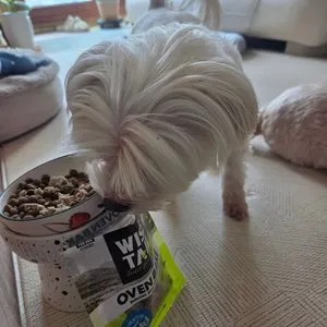 베스트 후기 이미지