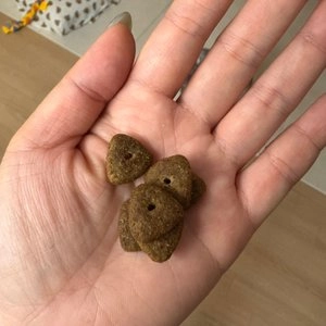 보나시보 독 램&라이스 어덜트 라지브리드 4kg 베스트 후기 이미지