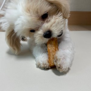 베스트 후기 이미지