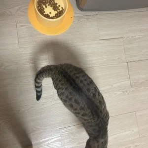 베스트 후기 이미지