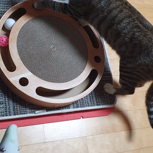 베스트 후기 이미지