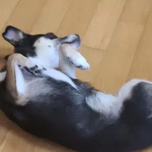 베스트 후기 이미지