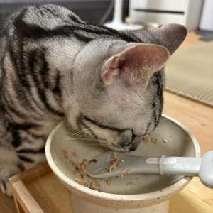 베스트 후기 이미지