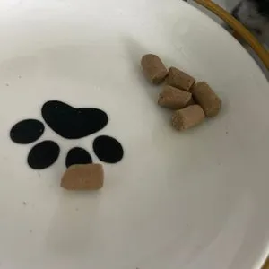 베스트 후기 이미지