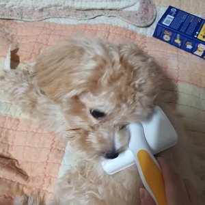 베스트 후기 이미지
