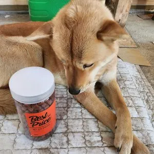 베스트 후기 이미지