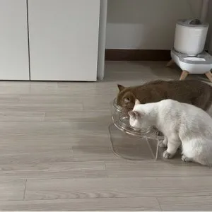 베스트 후기 이미지