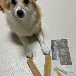 베스트 후기 이미지