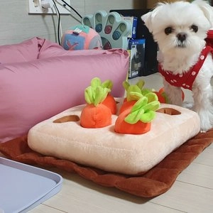 [무료배송] 아베크 실리콘 배변매트 아이보리/민트/퍼플 베스트 후기 이미지