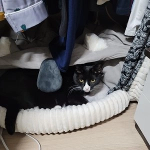 [무료배송] 해피플러스 안락한 침대 브라운/그레이 베스트 후기 이미지