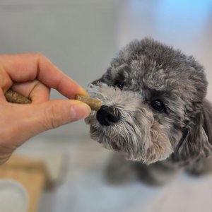 베스트 후기 이미지