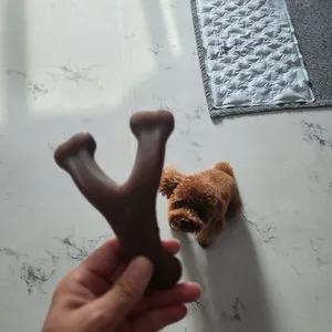 베스트 후기 이미지