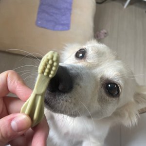 베스트 후기 이미지