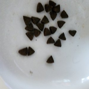 베스트 후기 이미지