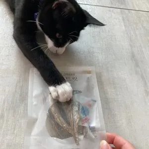 베스트 후기 이미지