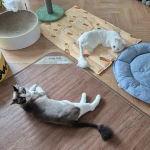 베스트 후기 이미지