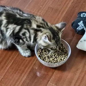 베스트 후기 이미지