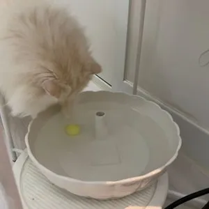 베스트 후기 이미지