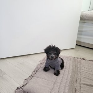 베스트 후기 이미지