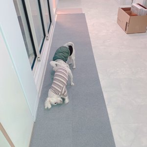 베스트 후기 이미지