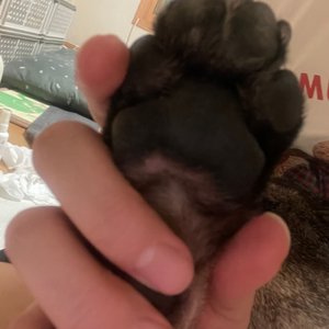 베스트 후기 이미지