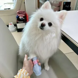 베스트 후기 이미지