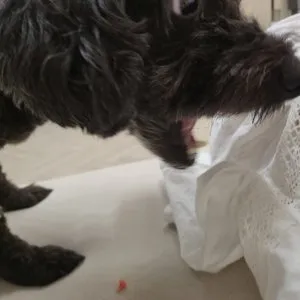 베스트 후기 이미지