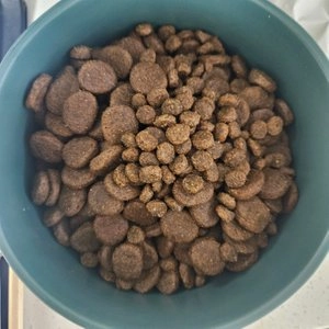 요세라 독 오리&감자 12.5kg 베스트 후기 이미지