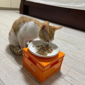 베스트 후기 이미지