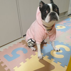 베스트 후기 이미지