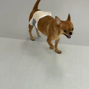 베스트 후기 이미지