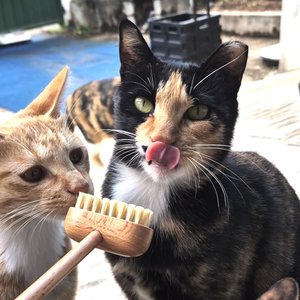 베스트 후기 이미지