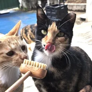 베스트 후기 이미지