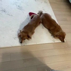 베스트 후기 이미지