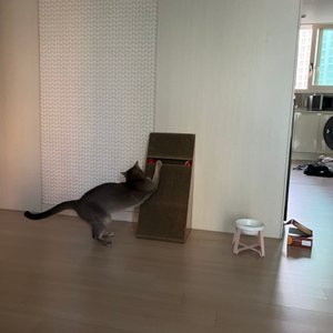 베스트 후기 이미지