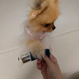 베스트 후기 이미지