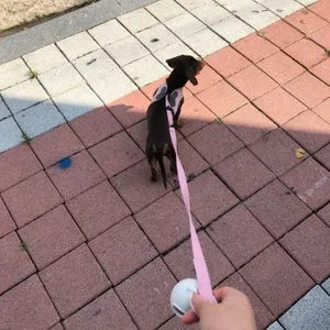 베스트 후기 이미지