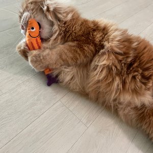 베스트 후기 이미지