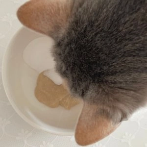 마이베프 멀티비타민 별자리스틱 15g*4p 베스트 후기 이미지