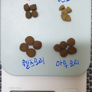 베스트 후기 이미지