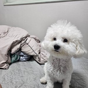 베스트 후기 이미지