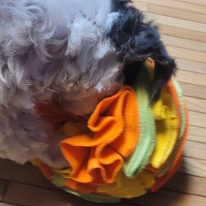 베스트 후기 이미지