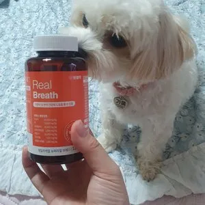 베스트 후기 이미지