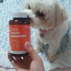 펫생각 독 기관지 호흡기 애견 협착증 영양제 66g 베스트 후기 이미지